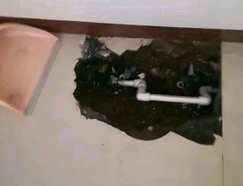 乌审卫生间测漏水多少钱